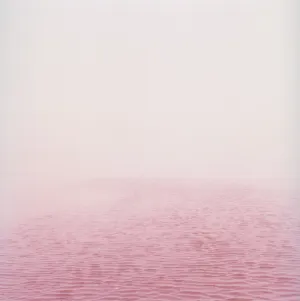 Anne Schwalbe