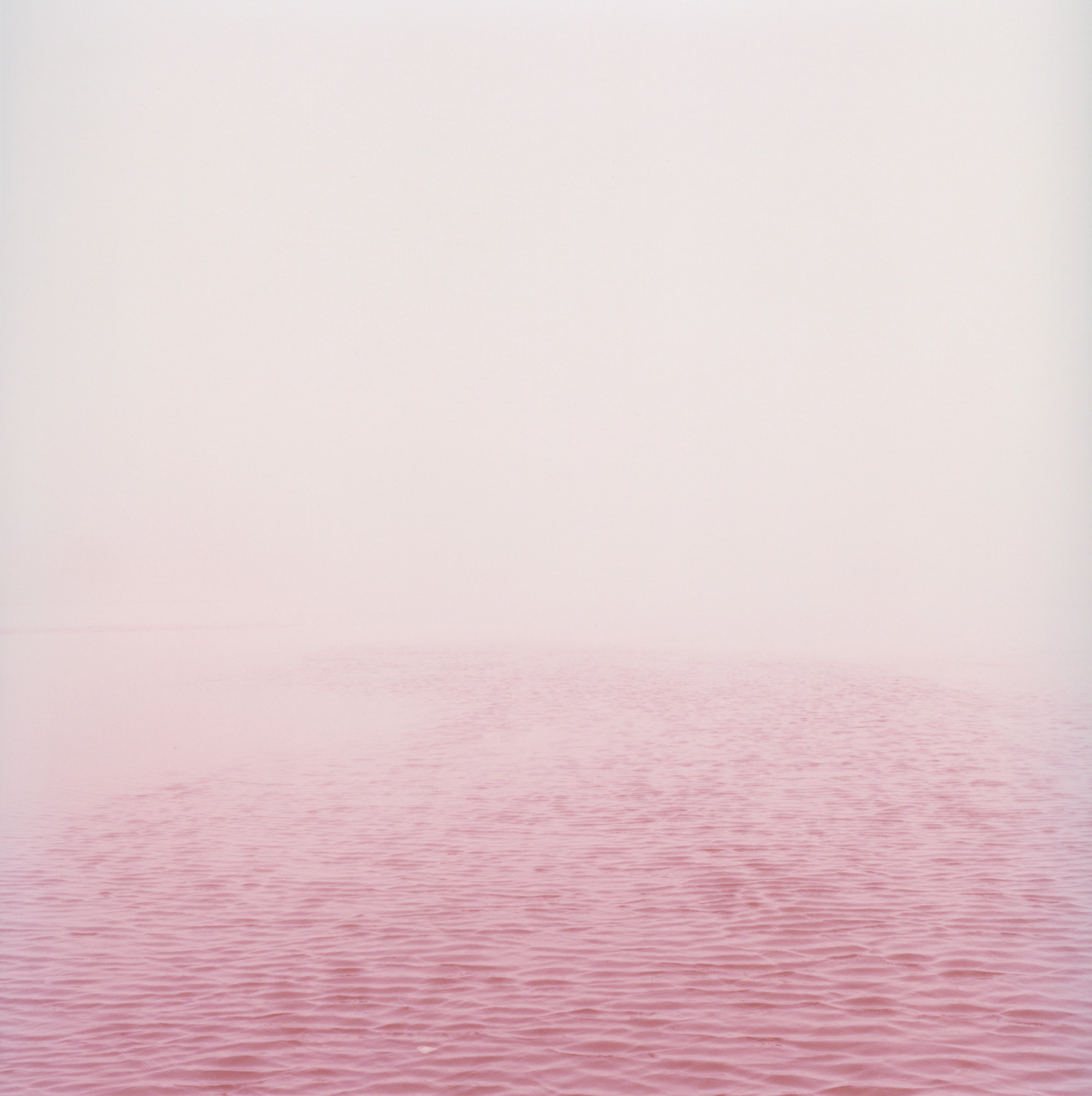 Anne Schwalbe