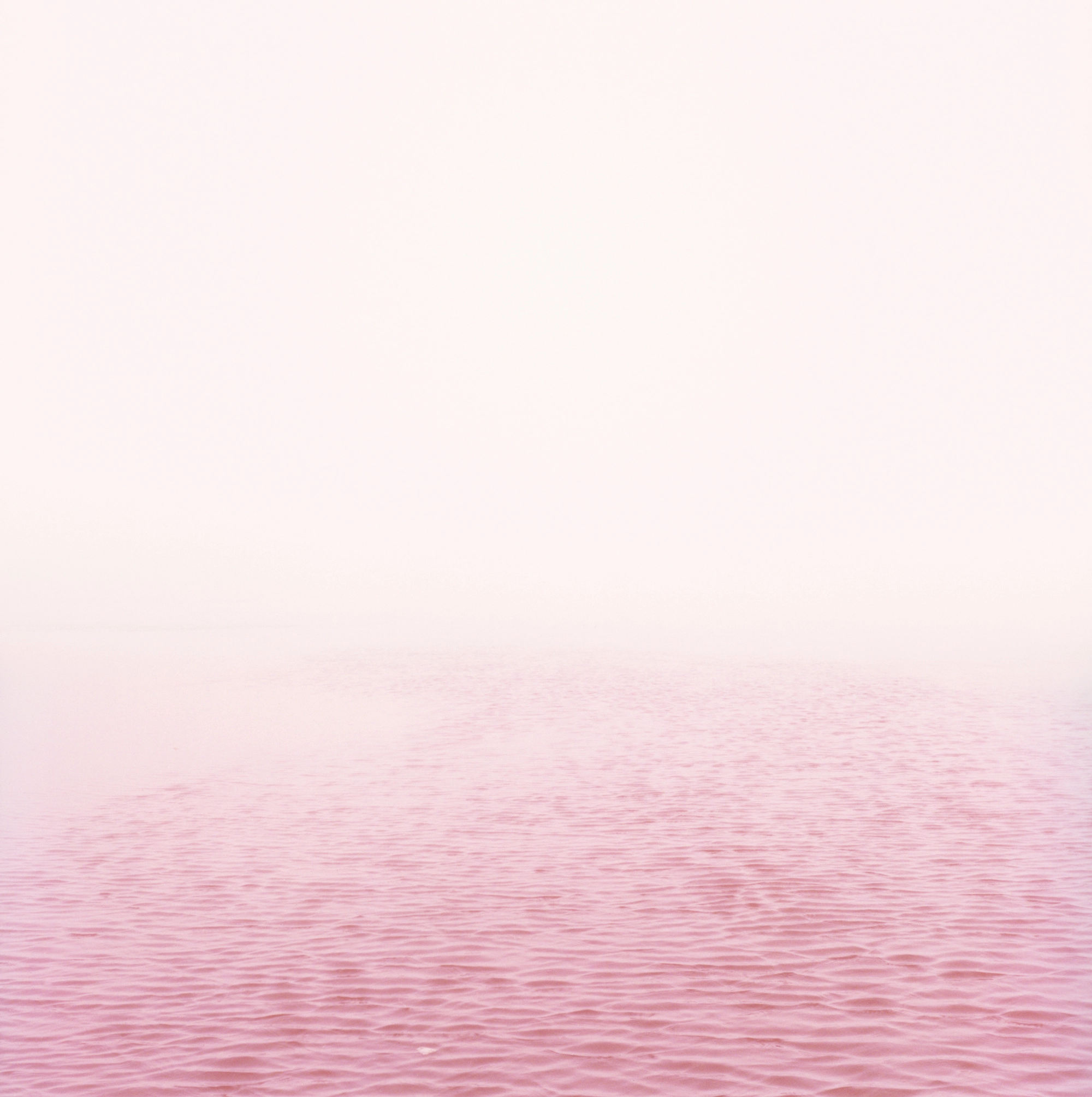 Anne Schwalbe